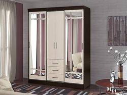 Wardrobe In The Hallway With A Mirror Photo