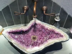 Hamam qabığının fotoşəkili