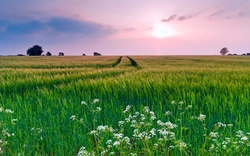 Photo of a bathroom in a field