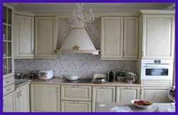 Kitchen platinum photo