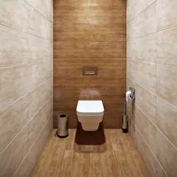 Toilet Design For A Two-Room Apartment