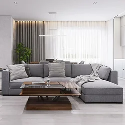 Gray living room design minimalism