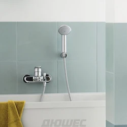 Faucet with shower for bathroom interior photo