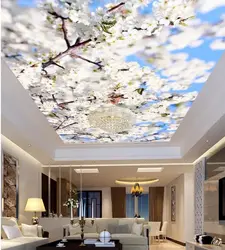 Qonaq Otağı Fotoşəkili Üçün Naxışlı Tavanlar