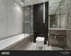 Bathroom design with marble shower