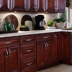 Kitchen interior in mahogany color