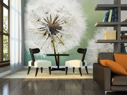 Dandelions ilə mətbəx daxili