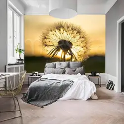 Dandelions ilə mətbəx daxili