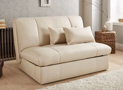 Sofa With Sleeping Place Photo In The Interior