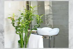 Bath interior bamboo