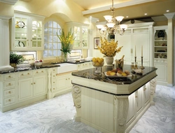 European kitchen interior