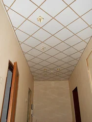 Фото реечных потолков в прихожей