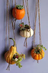 Pumpkin In The Kitchen Interior