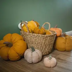 Pumpkin In The Kitchen Interior