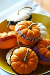 Pumpkin In The Kitchen Interior