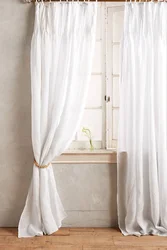 Tulle катон дар акс хоб