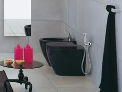 Hygienic Shower In The Bath Photo