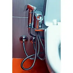 Hygienic shower in the bath photo
