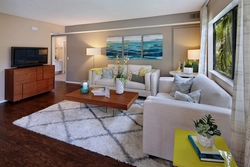 Carpet in the interior of the kitchen living room