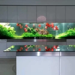 Ас үйдегі аквариум дизайны интерьердегі фотосурет