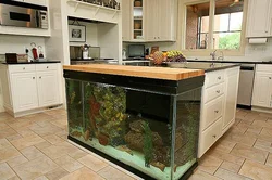 Aquarium in the kitchen design photo in the interior