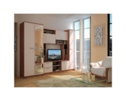 Atlanta living room interior photo