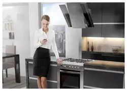 Hephaestus plates in the kitchen interior