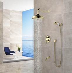 Tropical Shower For Bathroom With Mixer Photo