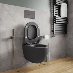 Gray toilet in the bathroom interior