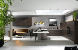 Kitchen With Living Room High Tech Photo Design