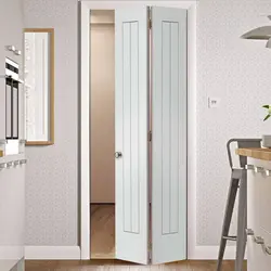 Accordion door to the bathroom photo