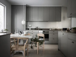 Gray scandinavian kitchen interior