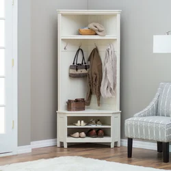 Wardrobe hanger in the hallway design
