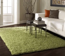 Light carpet in the living room interior
