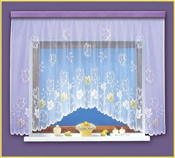 Tulle Arch Curtains For The Kitchen Photo