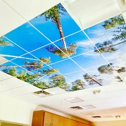 Kitchen ceiling made of tiles all photos