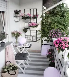 Цветы На Лоджии Фото