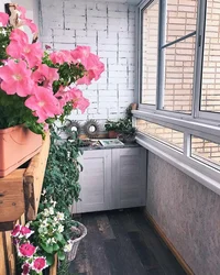 Цветы на лоджии фото