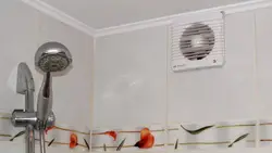 Vanna otağı fanat fotoşəkili