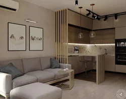 Studio Room Design 20 Sq M With Kitchen