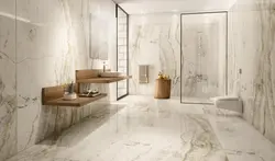 Brown marble in the bathroom interior