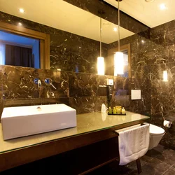 Brown Marble In The Bathroom Interior