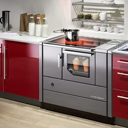 Electric stoves for kitchen built-in photos