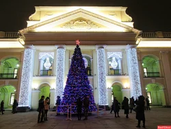 Қонақ Ауласындағы Шыршадан Сурет
