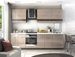 Mocha matte kitchen in the interior
