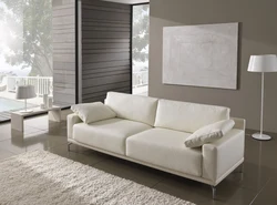 Sofa In The Living Room In A Modern Style Direct Photo