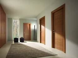 Combination of doors in the hallway photo