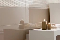 Glossy tiles for the bathroom in the interior photo