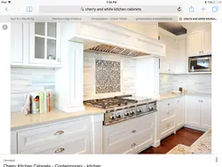 Beautiful stoves in kitchens photos