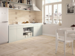 Kitchen Design Wall And Floor Tiles